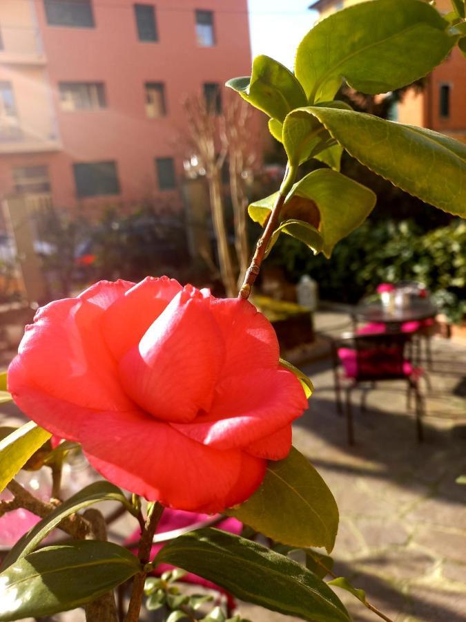 Hotel Arcoveggio Bologna Kültér fotó